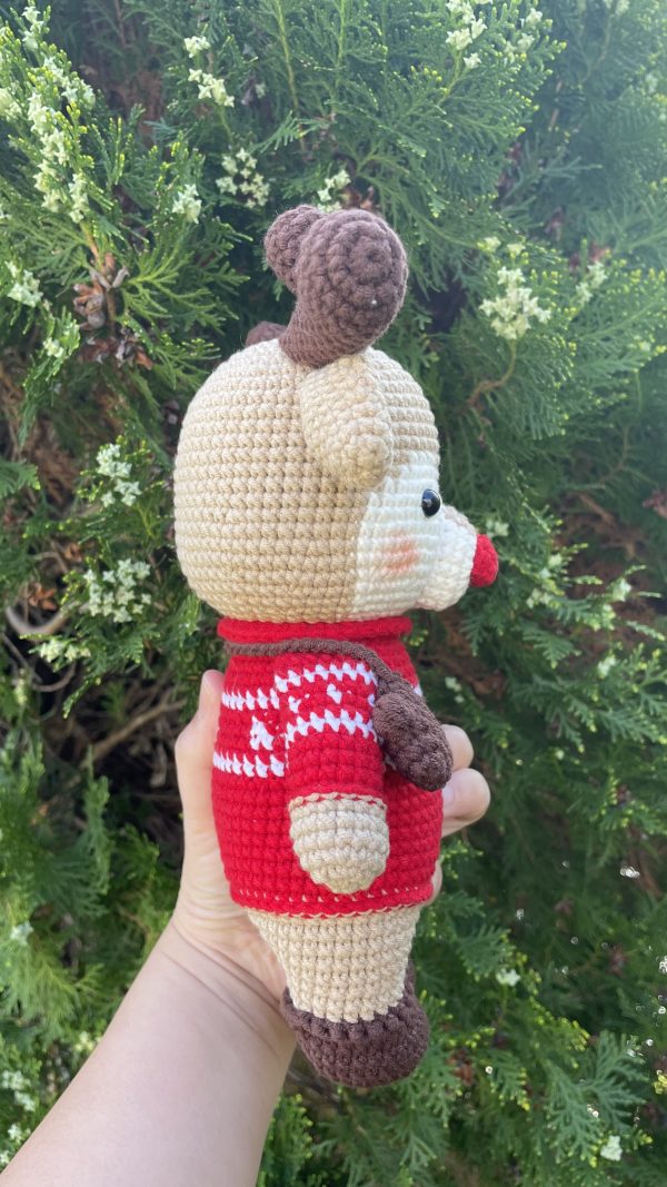 Rudolph in red jumper & hand mitts
